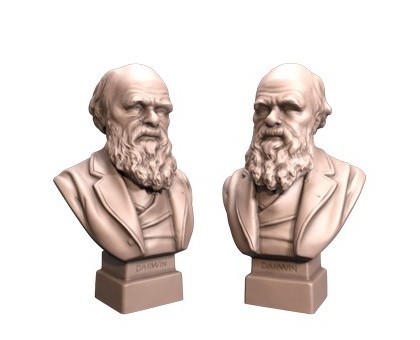 Charles Darwin, 3d models (stl)