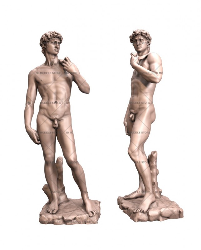 Michelangelos David, 3d models (stl)