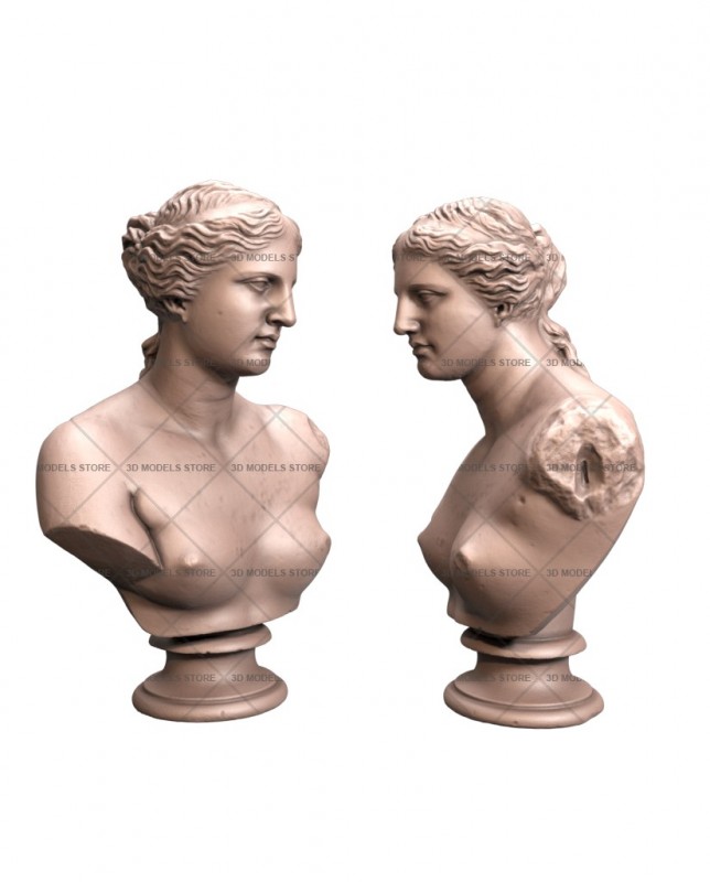 Bust of Venus de Milo, 3d models (stl)