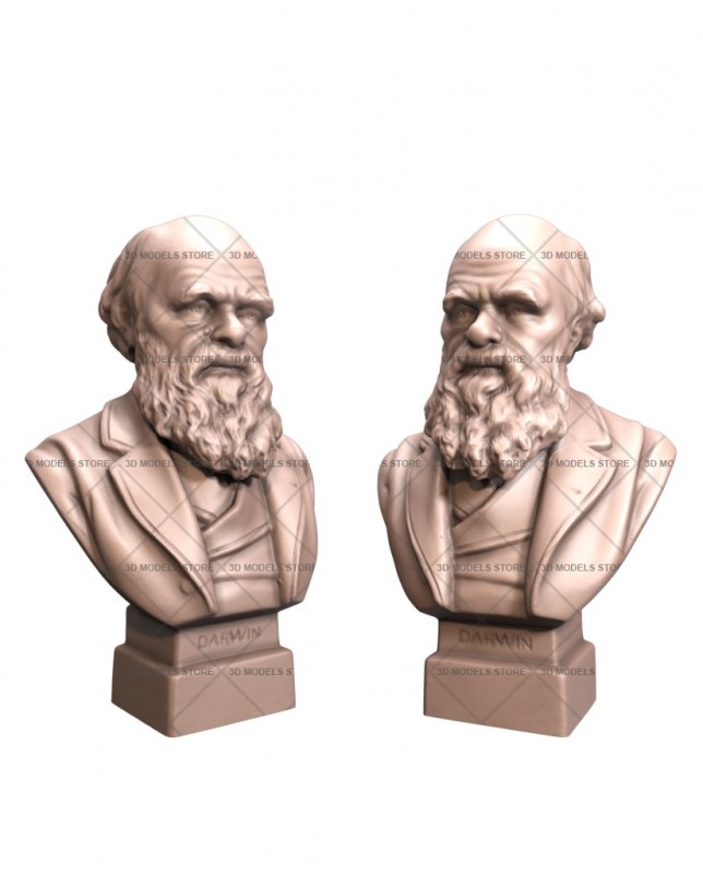 Charles Darwin, 3d models (stl)