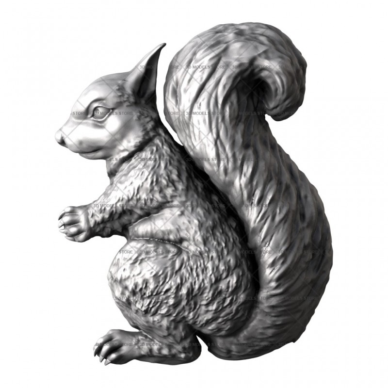 Squirrel, 3d models (stl)