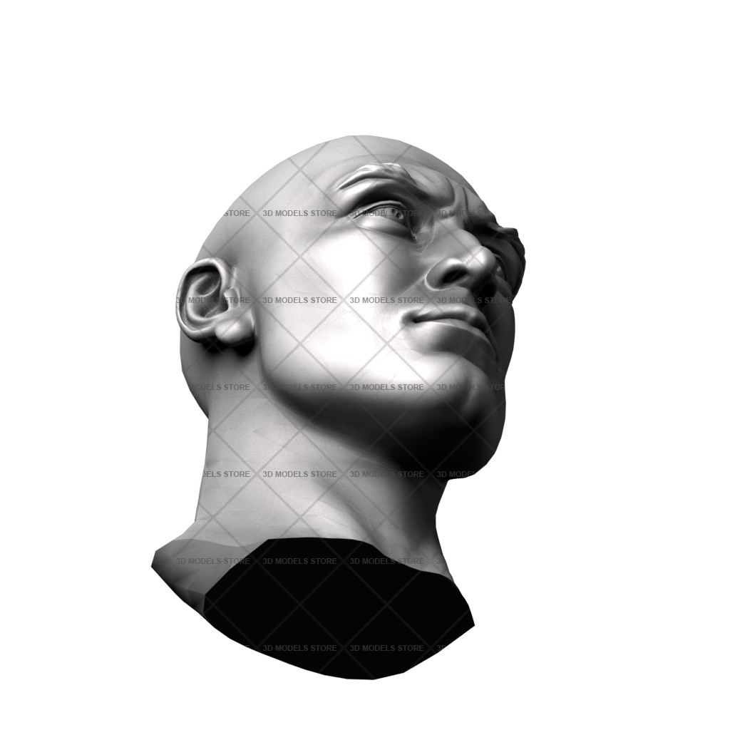 Human head, 3d models (stl)