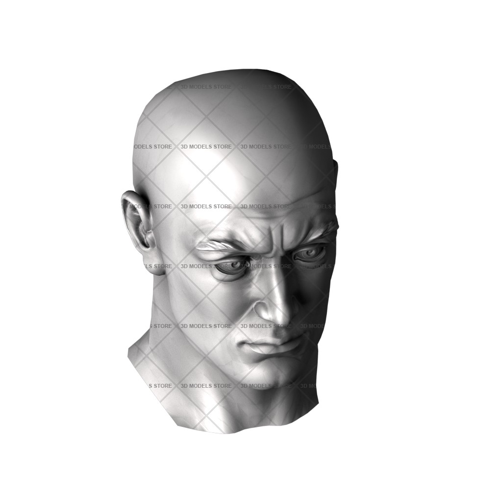 Human head, 3d models (stl)